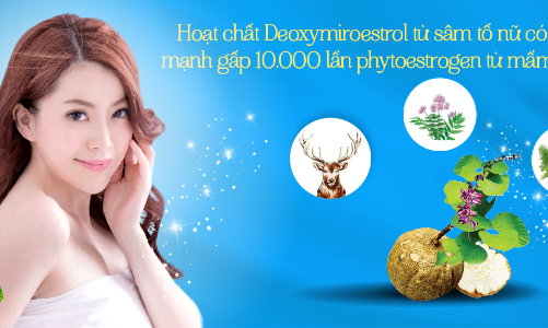 Sâm nhung tố nữ Tuệ Linh: bí quyết kéo dài tuổi xuân