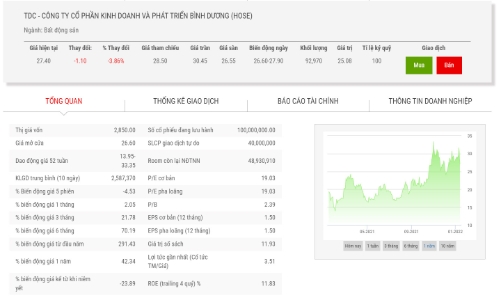 TDC sắp đấu giá 35 triệu cổ phiếu, giá khởi điểm 27.900 đồng/cổ phiếu