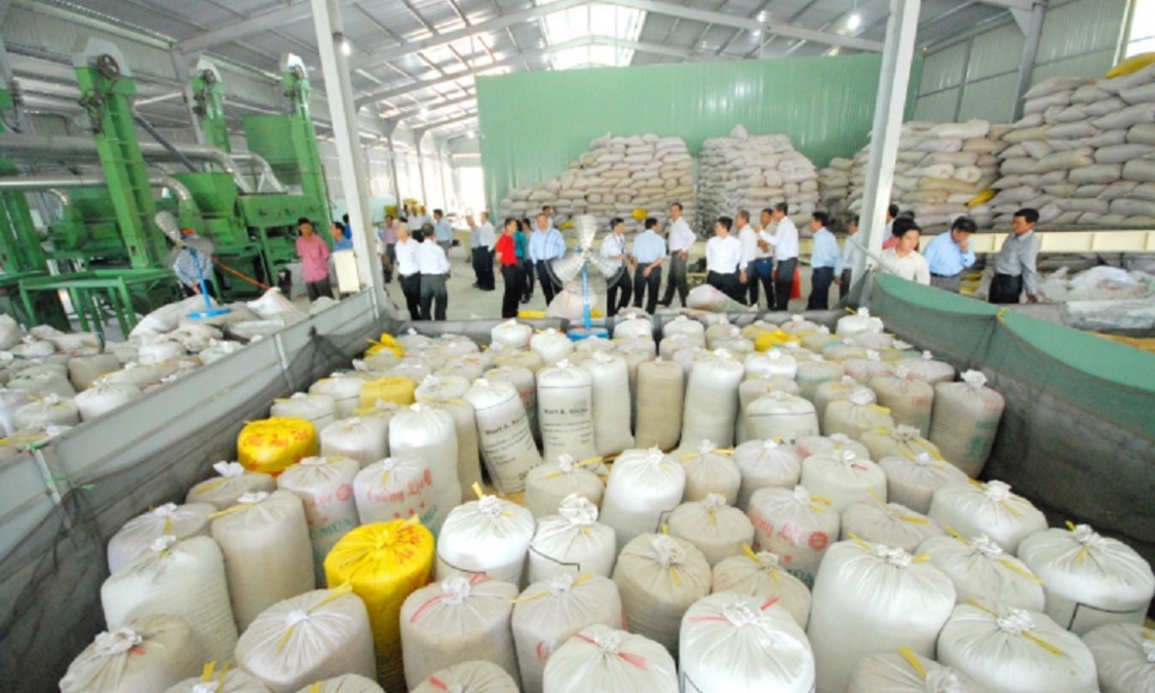 Gạo thơm là loại gạo thuộc Danh mục quy định tại điểm 8 tiểu mục 1 mục B Phụ lục 2-A của Hiệp định EVFTA.