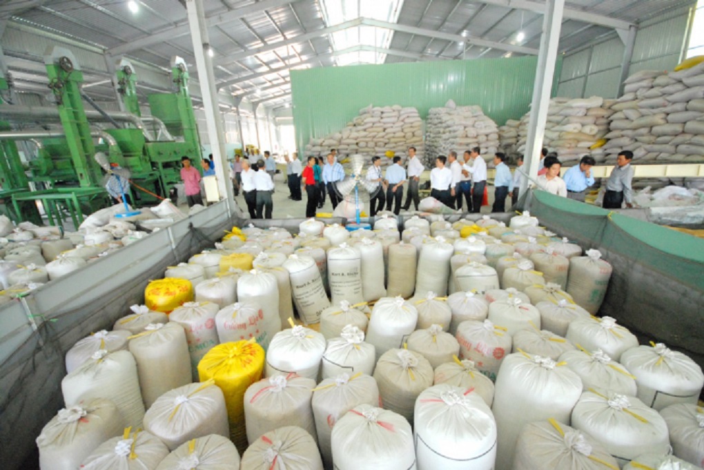 Gạo thơm là loại gạo thuộc Danh mục quy định tại điểm 8 tiểu mục 1 mục B Phụ lục 2-A của Hiệp định EVFTA.