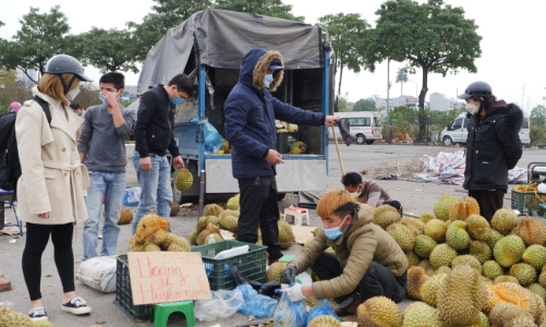 Nông sản tiếp tục “gặp hạn” đầu năm, thêm cửa khẩu tại Lào Cai dừng nhận xe chở trái cây