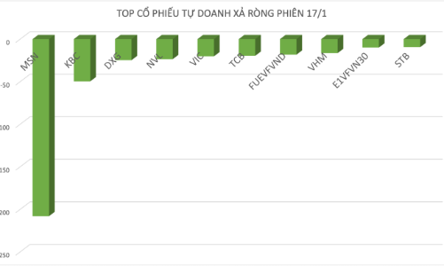 Tự doanh xả ròng phiên bốc hơi 43 điểm, cổ phiếu nào bị 