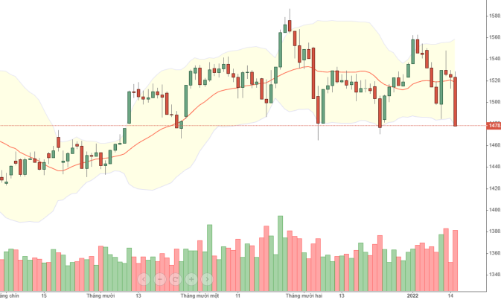 Blog chứng khoán: Cuộc đại phẫu