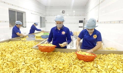 1.000 tấn mít Việt được chế biến tham gia xúc tiến tại Australia