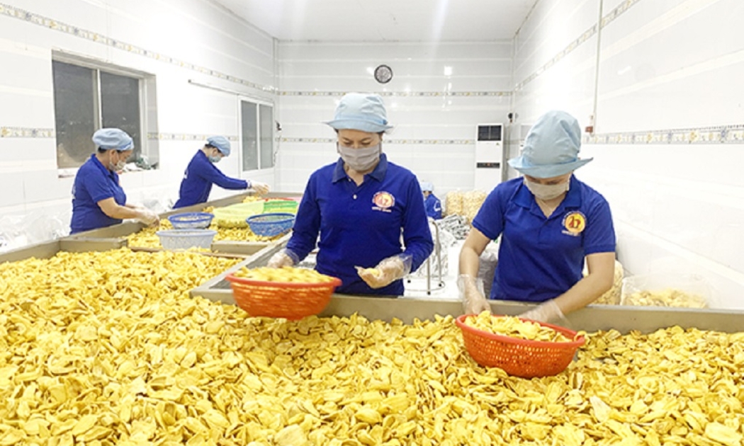 Mít chế biến.