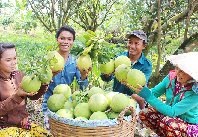 Nhiều sản phẩm nông sản Việt Nam được bán trên sàn thương mại điện tử xuyên biên giới