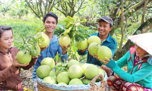 Người Anh tìm kiếm sản phẩm Việt Nam nhiều nhất trên chợ  online