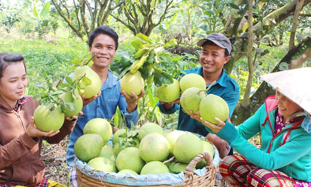 Nhiều sản phẩm nông sản Việt Nam được bán trên sàn thương mại điện tử xuyên biên giới
