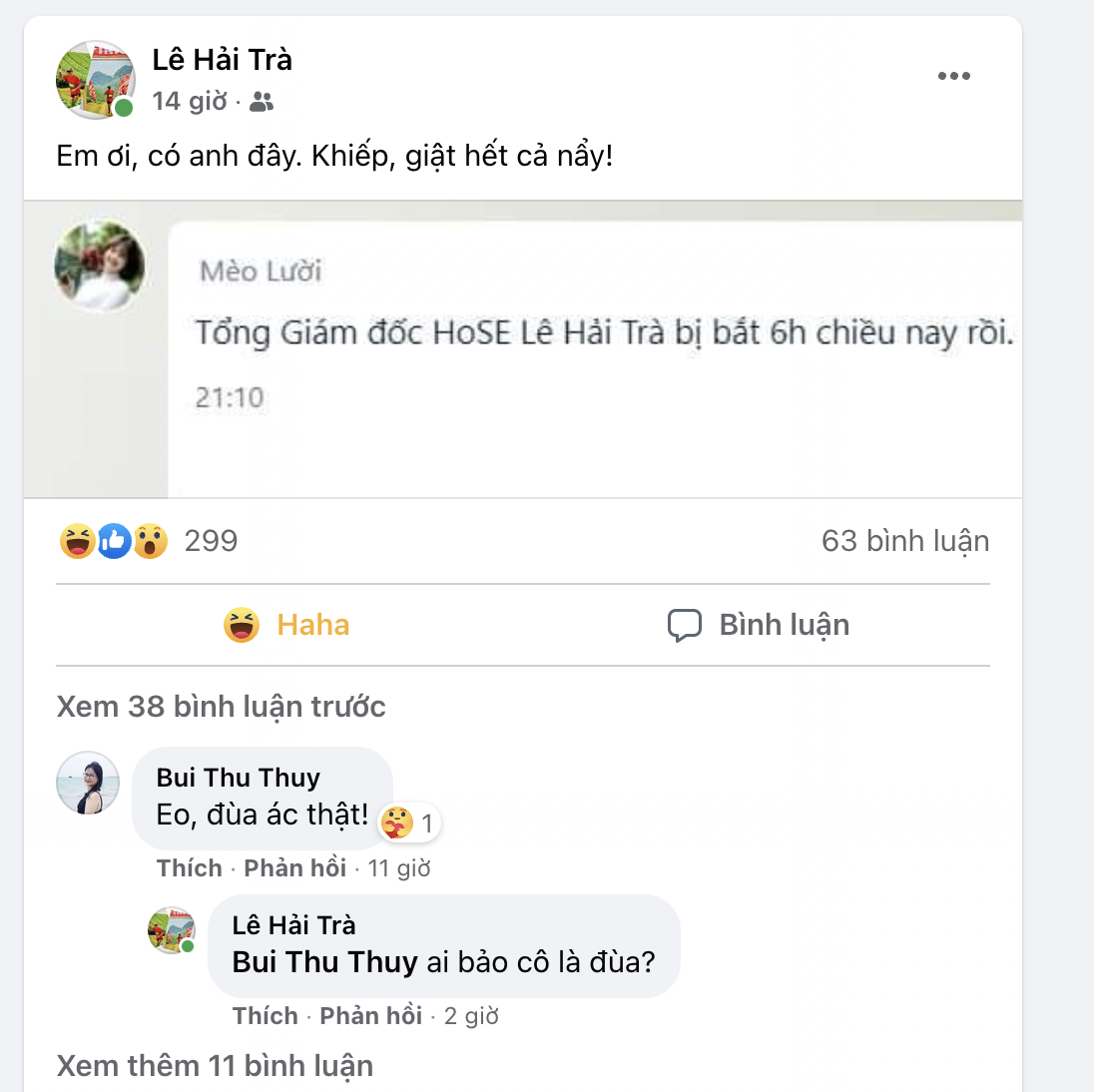 Facebook c&aacute; nh&acirc;n của &ocirc;ng L&ecirc; Hải Tr&agrave;.&nbsp;