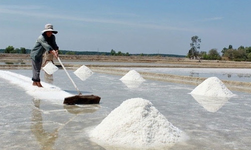 Nghề muối lạc hậu đến bao giờ?