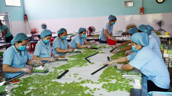 Hỗ trợ doanh nhân nữ trong thương mại điện tử xuyên biên giới