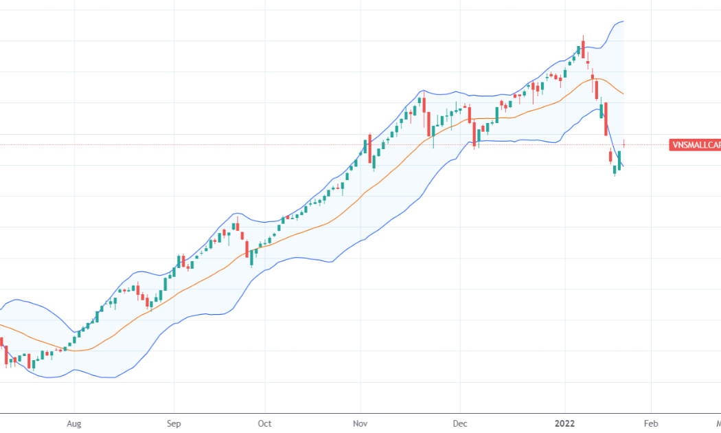 Chỉ số VNSmallcap thể hiện rõ nhịp lao dốc nặng của nhóm cổ phiếu đầu cơ nhỏ.
