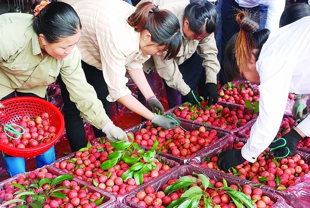 Rau quả Việt Nam là mặt hàng tiêu thụ nhiều tại Trung Quốc.