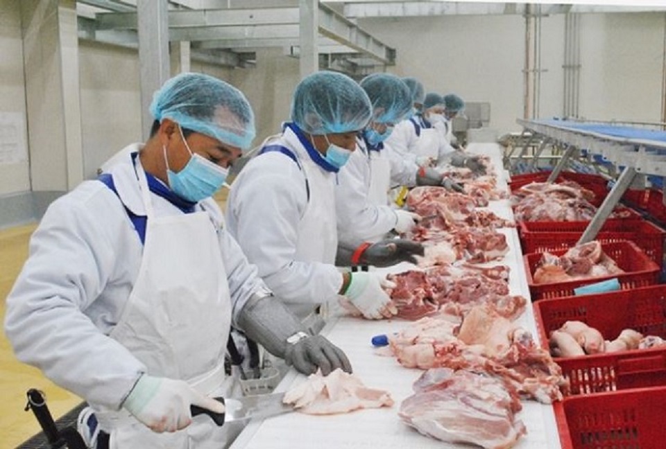 Xuất khẩu sản phẩm chăn nuôi còn khiêm tốn.