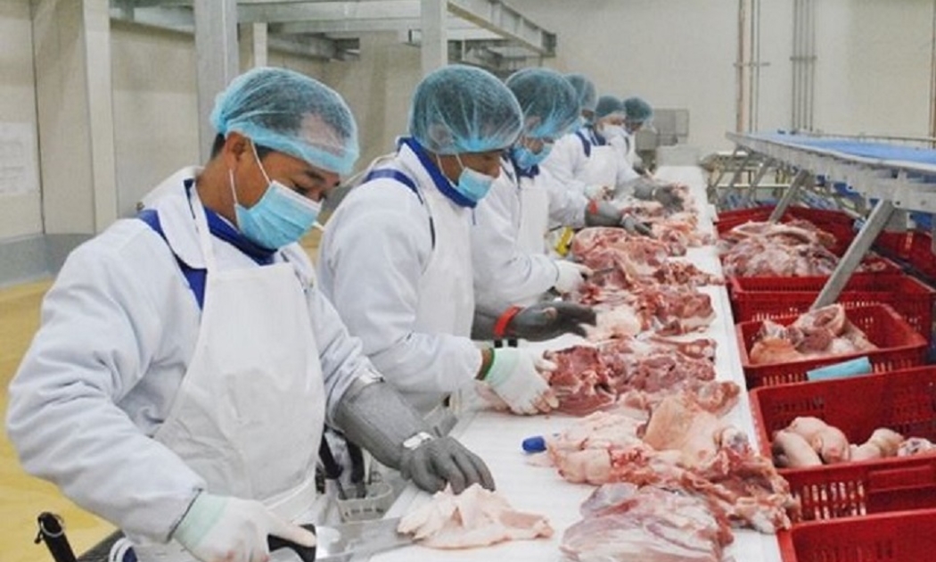 Xuất khẩu sản phẩm chăn nuôi còn khiêm tốn.