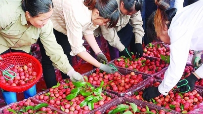 Vietnam - China trade remains positive