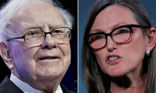 Phong cách đầu tư trái ngược, “bà trùm