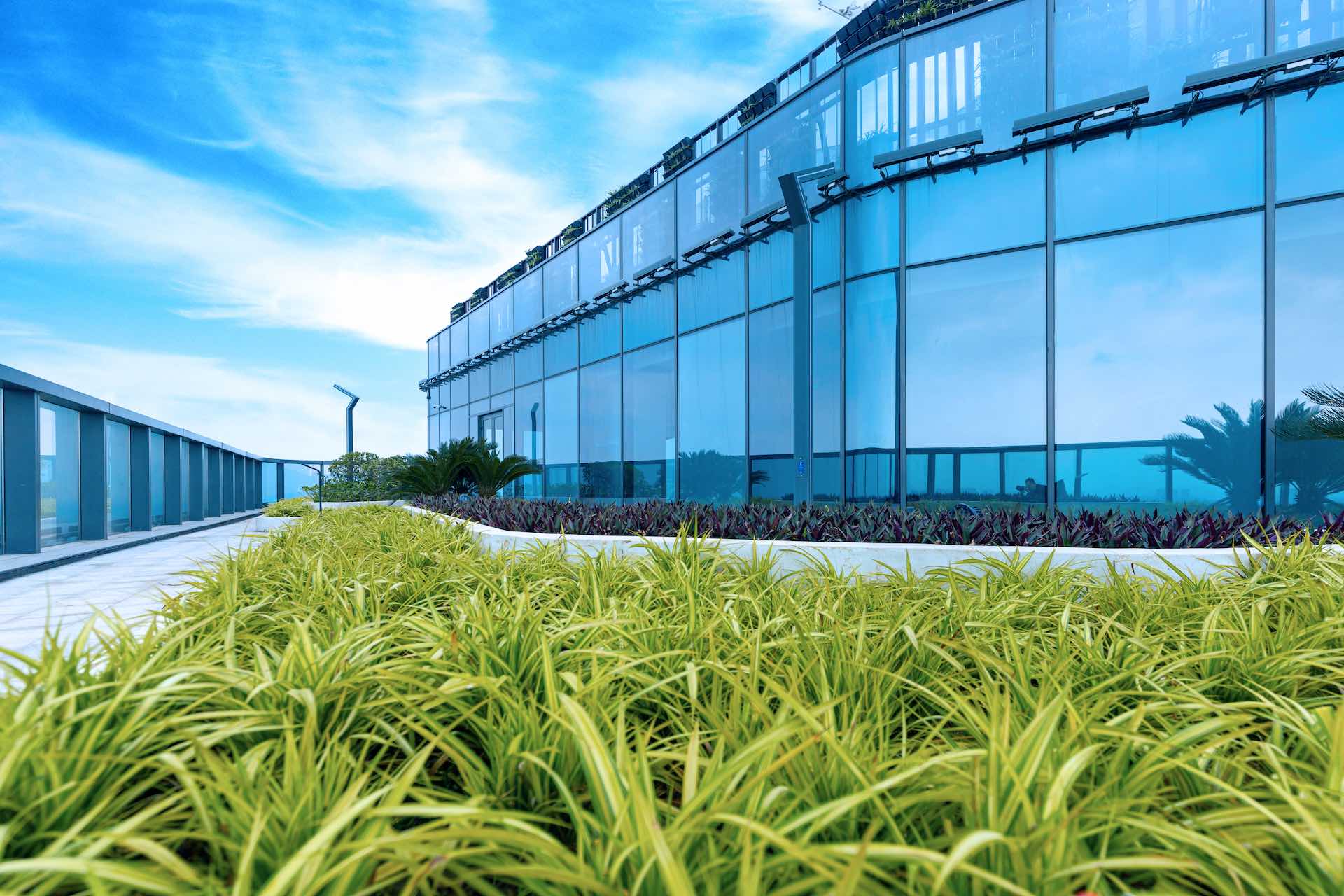 C&acirc;y xanh chiếm 25% diện t&iacute;ch s&agrave;n, c&ugrave;ng với 75% kh&ocirc;ng gian c&oacute; &aacute;nh s&aacute;ng tự nhi&ecirc;n tạo ra m&ocirc;i trường l&agrave;m việc gần gũi với thi&ecirc;n nhi&ecirc;n ở TechnoPark Tower.