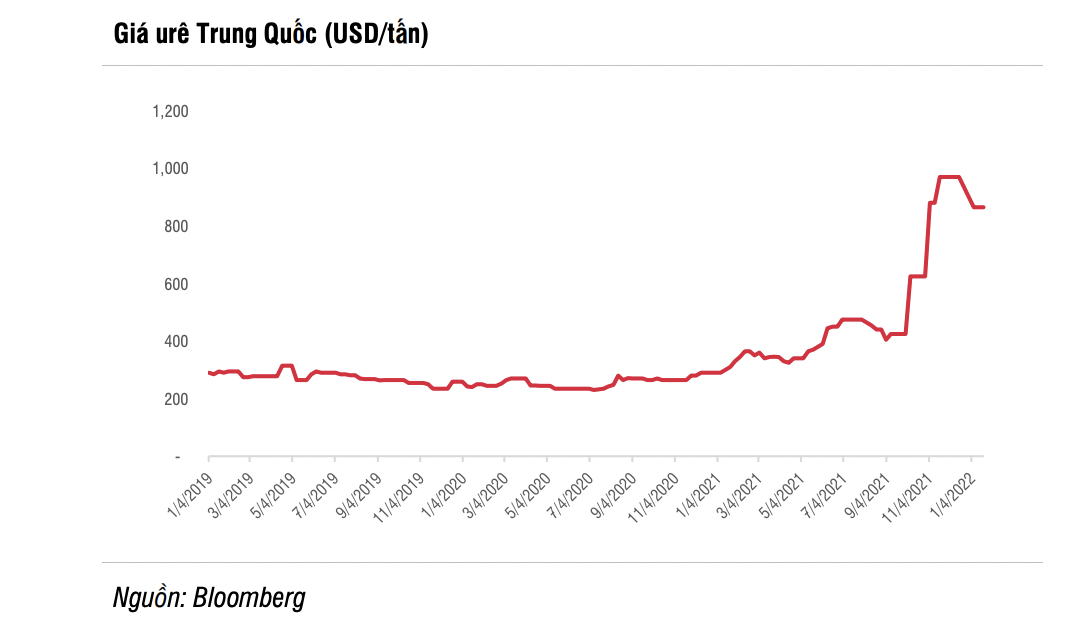 Nguồn: SSI Research.