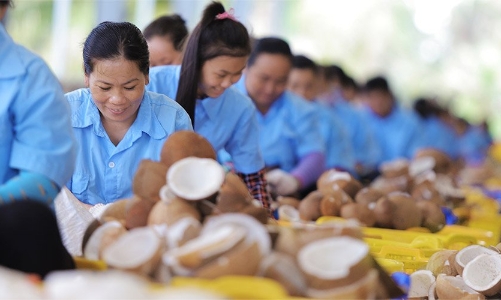 Một doanh nghiệp ngành Dừa tri ân nhân viên hơn 200 chỉ vàng và hàng trăm triệu quà tặng