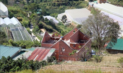 Sở Xây dựng Lâm Đồng đề nghị xử phạt Công ty Phương Nam do xây dựng 20 công trình không phép