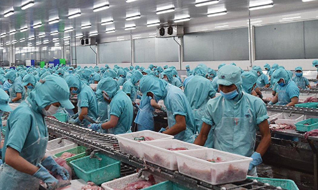 Doanh nghiệp EU hoan nghênh khi được trở lại cuộc sống và hoạt động kinh doanh như bình thường