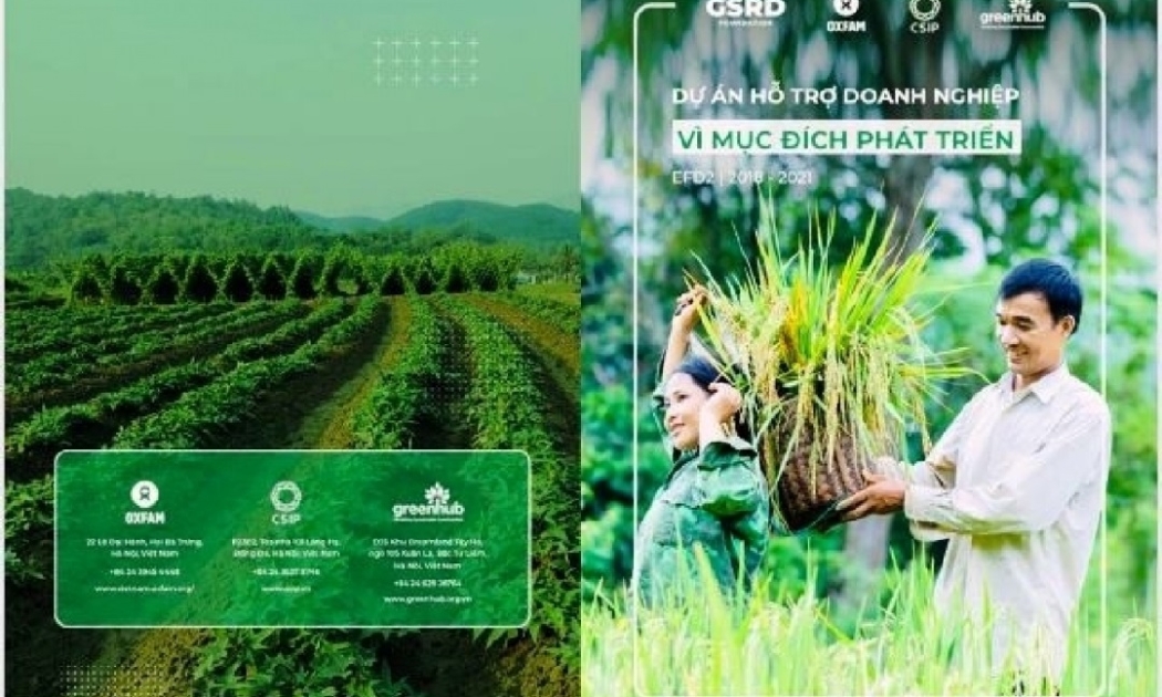 Dự án EFD hướng tới mục đích giúp đối tượng yếu thế.