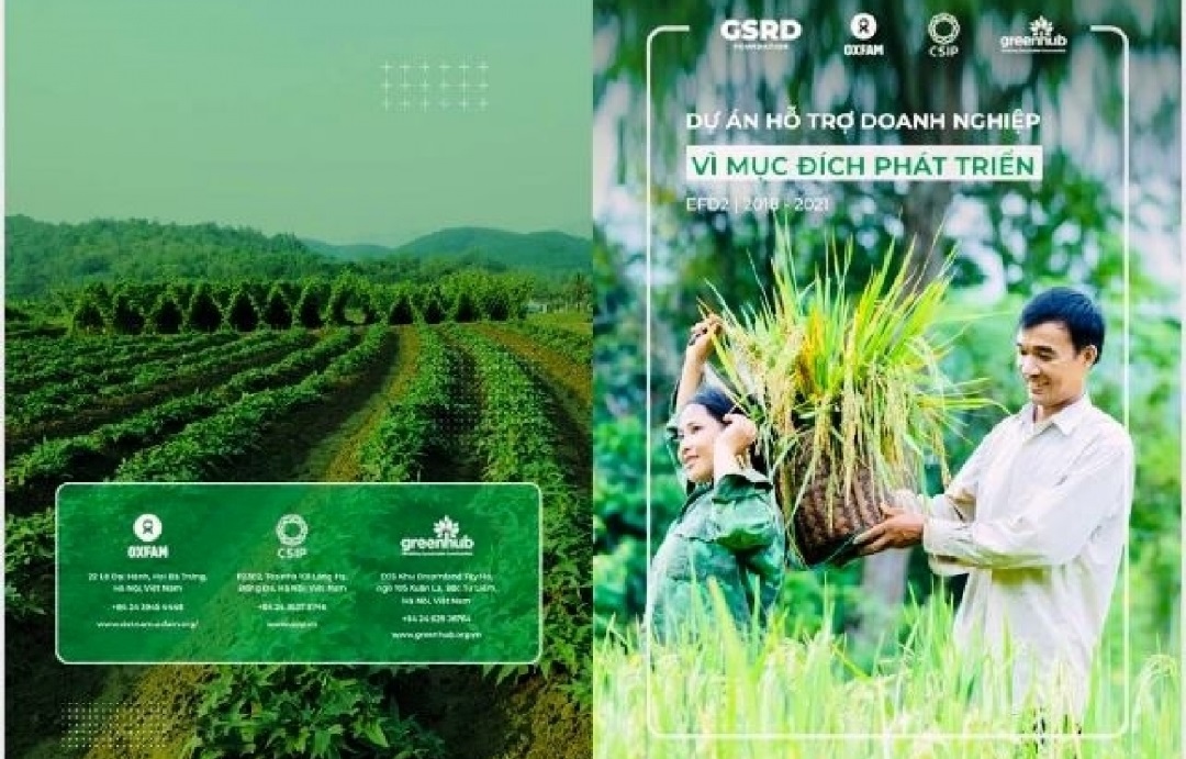 Dự án EFD hướng tới mục đích giúp đối tượng yếu thế.