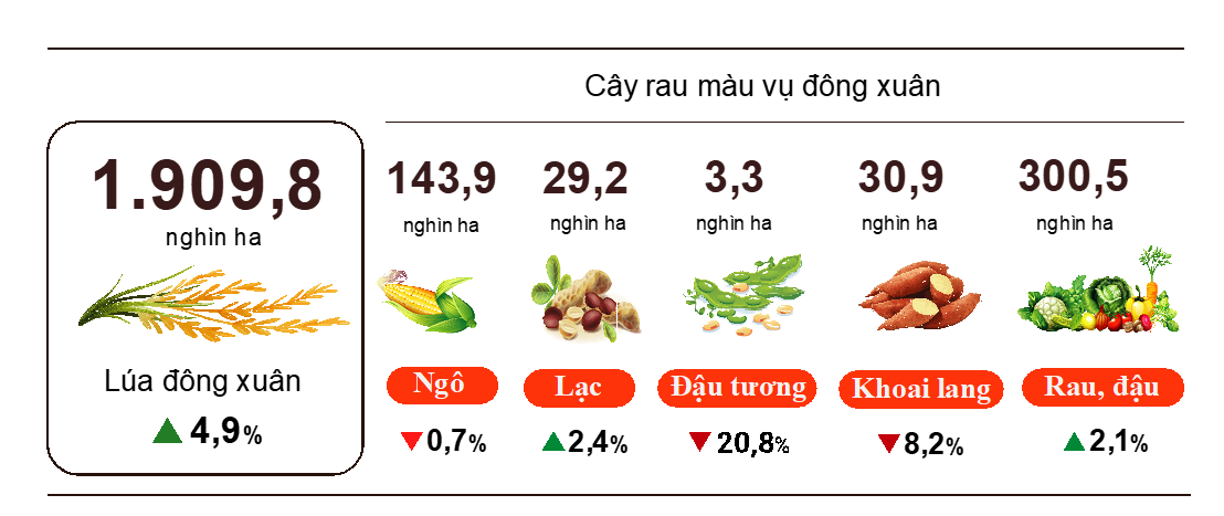 Gieo trồng một số c&acirc;y h&agrave;ng năm (T&iacute;nh đến 15/01/2022).