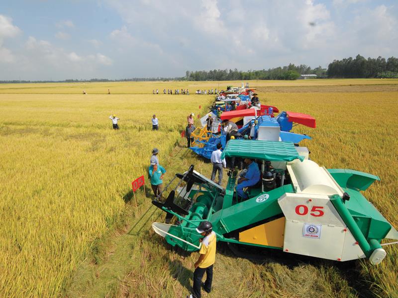 Đối mặt với Covid -19 đầy khó khăn nhưng ngành nông nghiệp đã đạt nhiều thành tựu lớn trong năm 2021