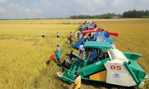 Nông nghiệp “ngôi nhà” an toàn của người Việt