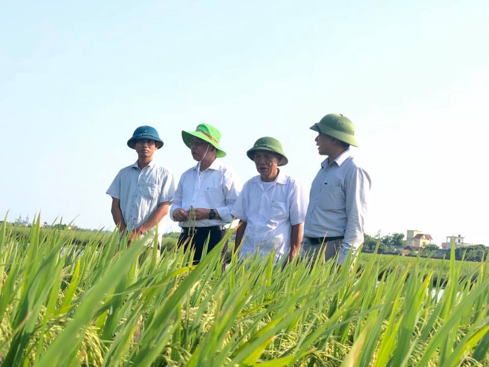 Thế hệ n&ocirc;ng d&acirc;n d&aacute;m nghĩ, d&aacute;m l&agrave;m như &ocirc;ng Trần Mạnh B&aacute;o đ&atilde; g&oacute;p phần gi&uacute;p 