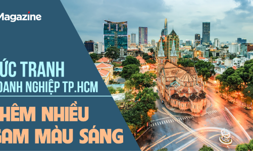 Bức tranh doanh nghiệp TP.HCM thêm nhiều gam màu sáng