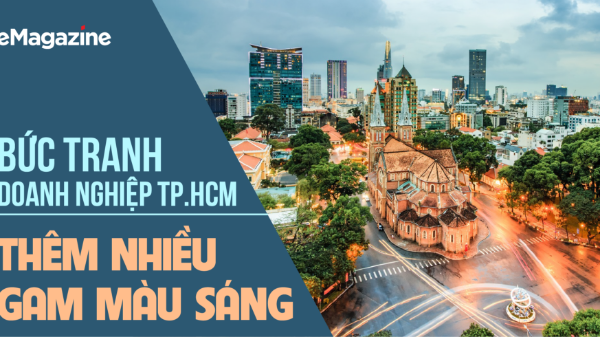 Bức tranh doanh nghiệp TP.HCM thêm nhiều gam màu sáng