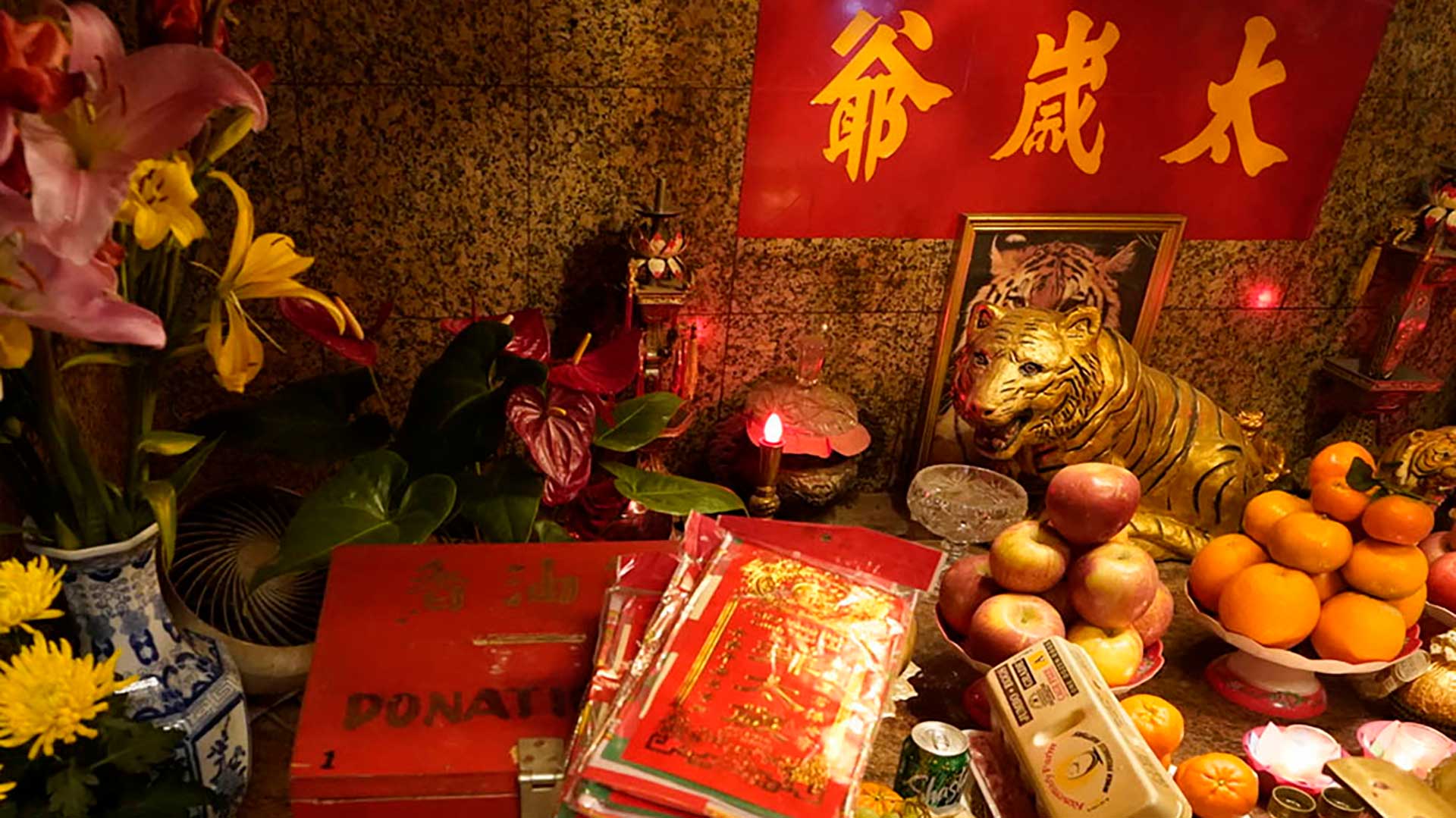 Linh vật của năm&nbsp;Nh&acirc;m Dần&nbsp;2022&nbsp;l&agrave; con hổ - con vật được tượng trưng cho đất v&agrave; th&agrave;nh c&ocirc;ng trong sự nghiệp trong văn h&oacute;a phương Đ&ocirc;ng - Ảnh: CGTN