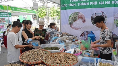 Hanoi to hold major promotional program