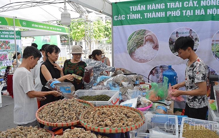 Hanoi to hold major promotional program
