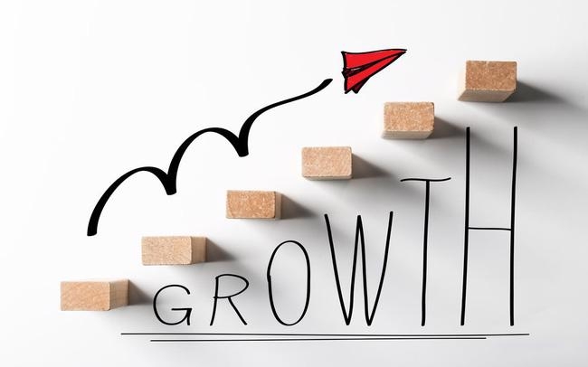 VinaCapital identifies stocks to post outstanding growth in 2022
