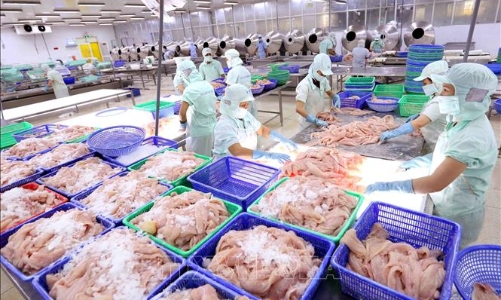 Hàng vạn doanh nghiệp tư nhân kinh doanh bền vững sẽ được hỗ trợ chuyển đổi số