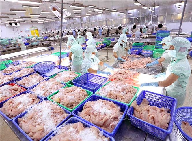 Doanh nghiệp tư nhân sẽ nhận được nhiều hỗ trợ trong giai đoạn 2022 - 2025