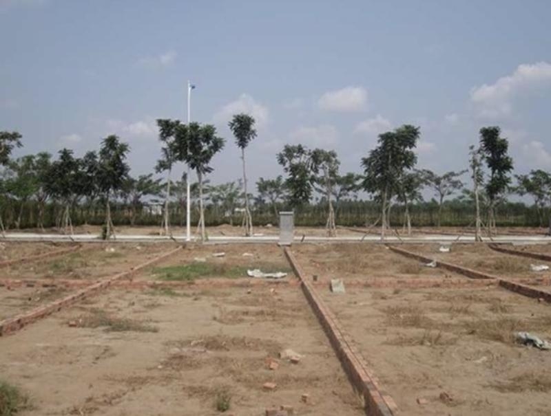 Da Nang to auction land plots