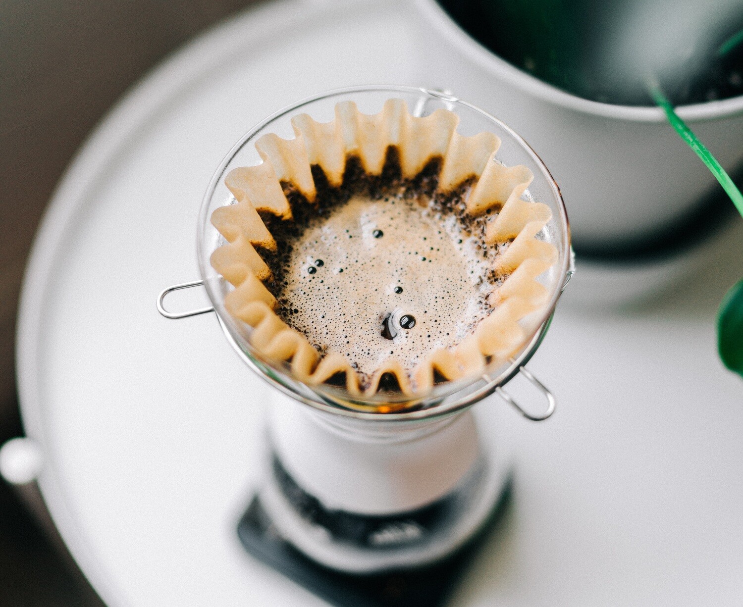 Hương vị hoa quả mượt m&agrave;, tinh tế tựa như tr&agrave; của Geisha Panama kh&aacute;c biệt ho&agrave;n to&agrave;n so với bất cứ loại c&agrave; ph&ecirc; n&agrave;o m&agrave; bạn đ&atilde; từng thử.