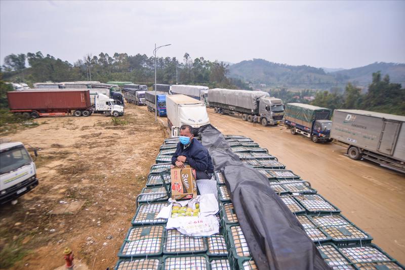Việc xuất khẩu hoa quả, nông sản vào Trung Quốc tiếp tục gặp khó trong những ngày đầu năm