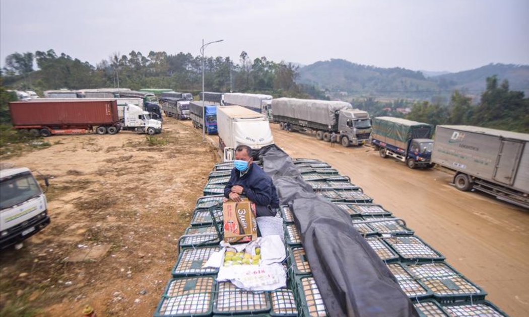 Việc xuất khẩu hoa quả, nông sản vào Trung Quốc tiếp tục gặp khó trong những ngày đầu năm