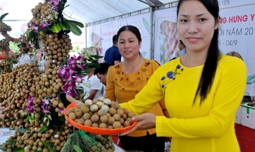 Nhiều thách thức “ngáng đường” các sản phẩm OCOP 