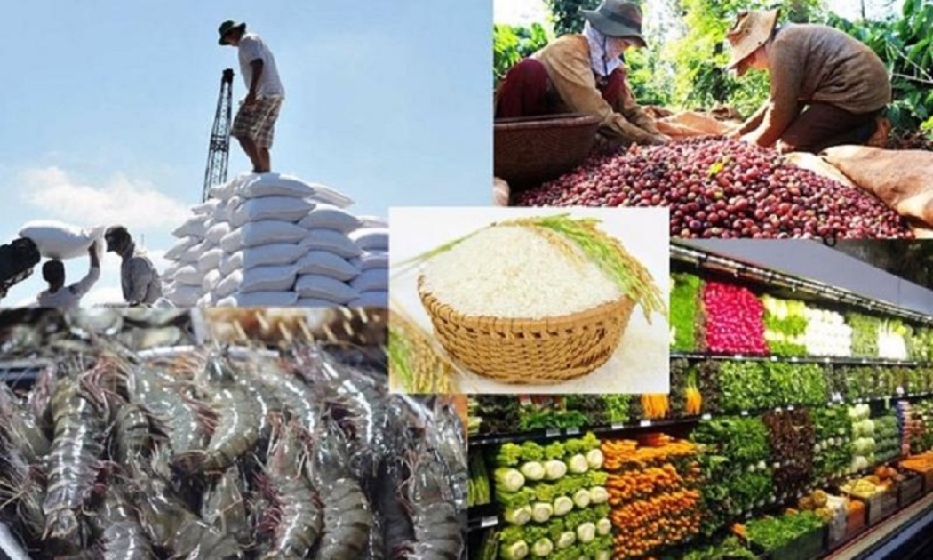 Con số xuất khẩu của ngành nông nghiệp năm 2021 vẫn còn vênh về số liệu.