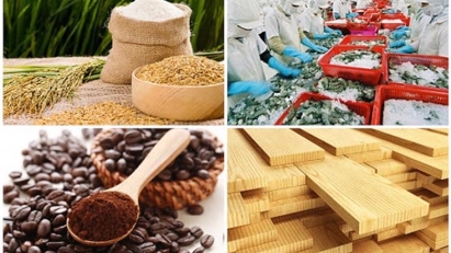 2022 agro-forestry-fishery exports may hit $50bln
