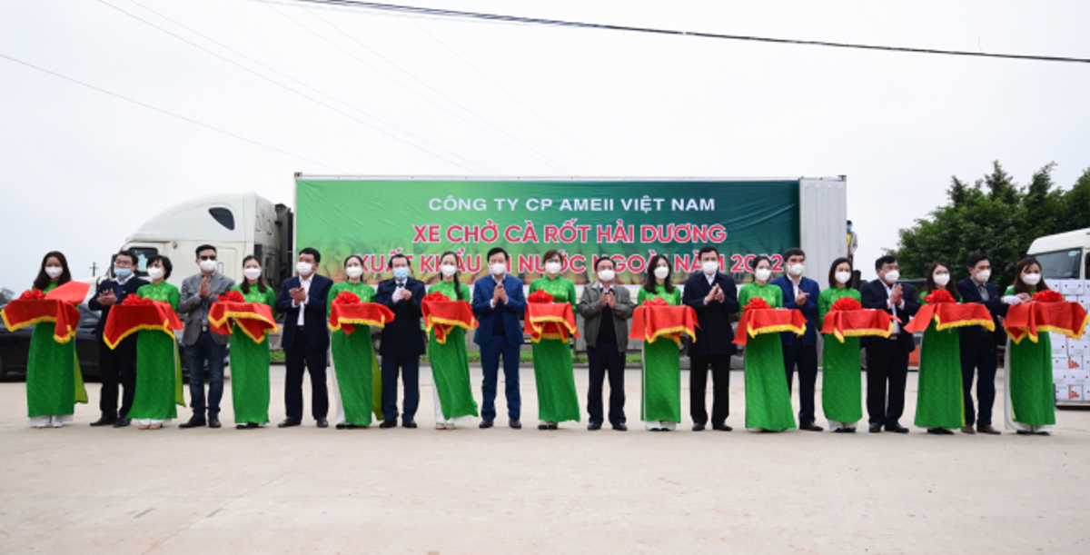 Bộ trưởng Lê Minh Hoan dự lễ xuất khẩu container cà rốt đầu tiên trong năm mới.