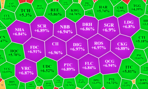 Tiền vào Midcap, cổ phiếu bất động sản thanh khoản ấn tượng