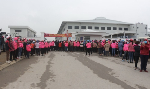 Hỗ trợ doanh nghiệp có nguy cơ phá sản, nợ lương để giảm tranh chấp lao động